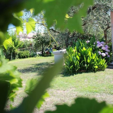 Villa di campagna vicino al mare Orosei Esterno foto