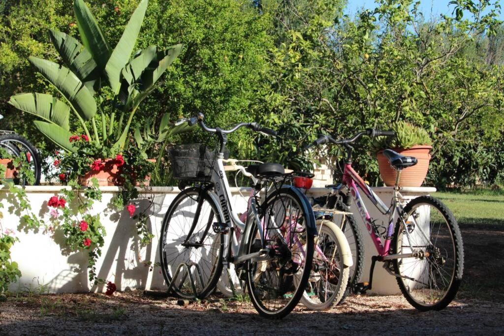 Villa di campagna vicino al mare Orosei Esterno foto