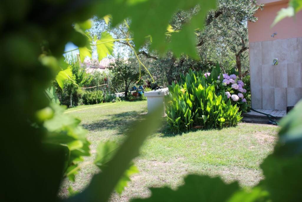 Villa di campagna vicino al mare Orosei Esterno foto