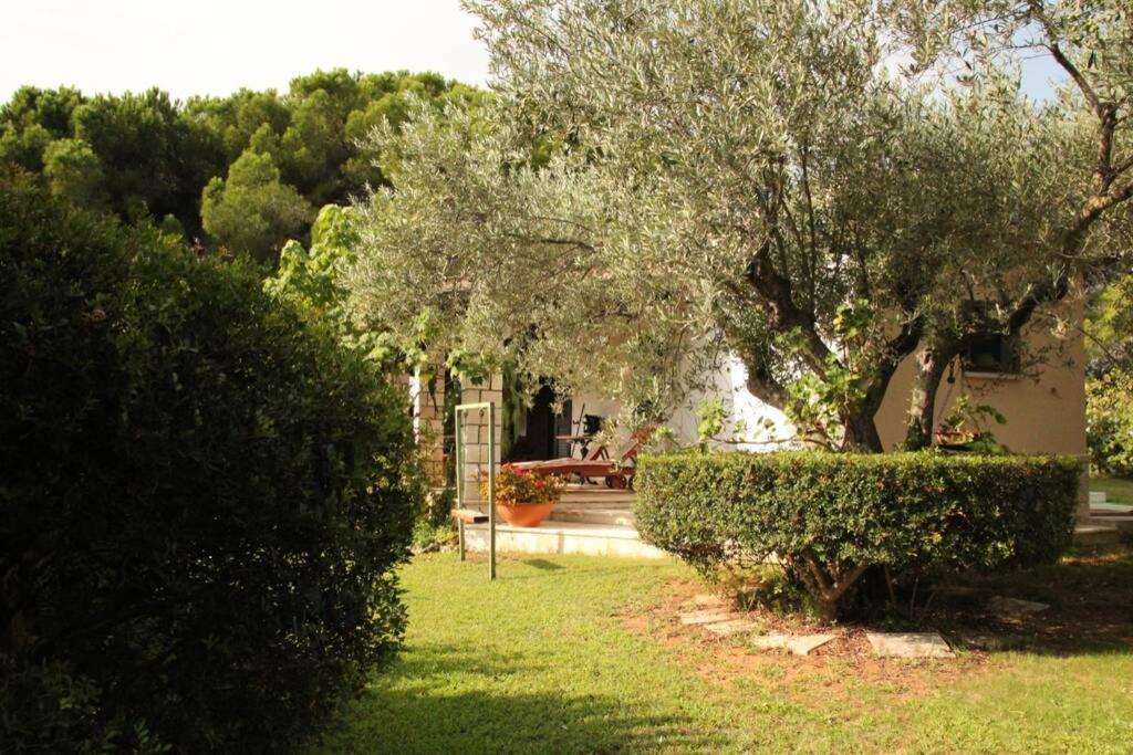 Villa di campagna vicino al mare Orosei Esterno foto