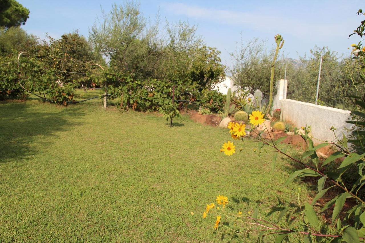 Villa di campagna vicino al mare Orosei Esterno foto
